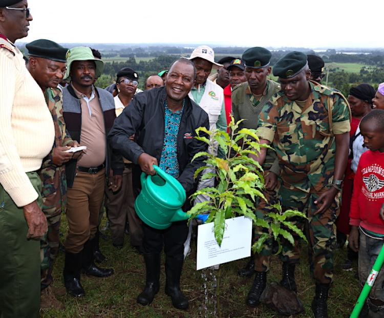 CS Prof. Ndung’u led tree planting exercise in Nyandarua